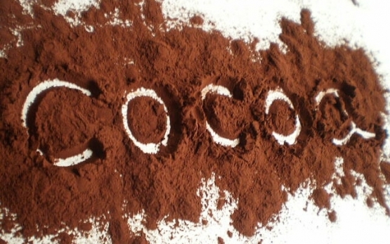 Какао богато витаминами, минеральными веществами, белками